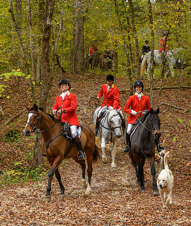 Belle Meade_11-6-2021_357312
