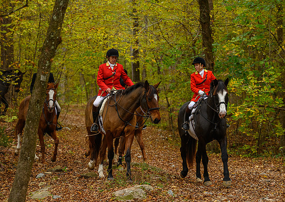 Belle Meade_11-6-2021_357313