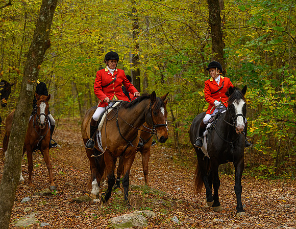 Belle Meade_11-6-2021_357314