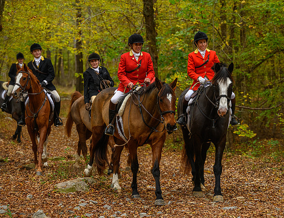 Belle Meade_11-6-2021_357316