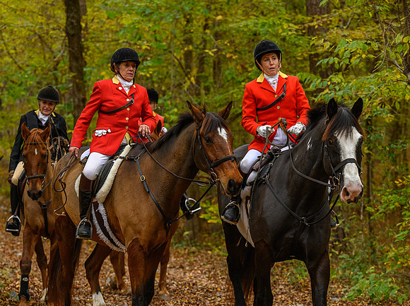 Belle Meade_11-6-2021_357318