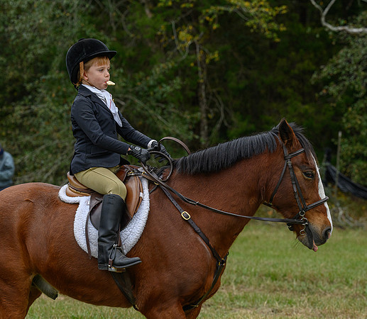 Belle Meade_11-6-2021_357374
