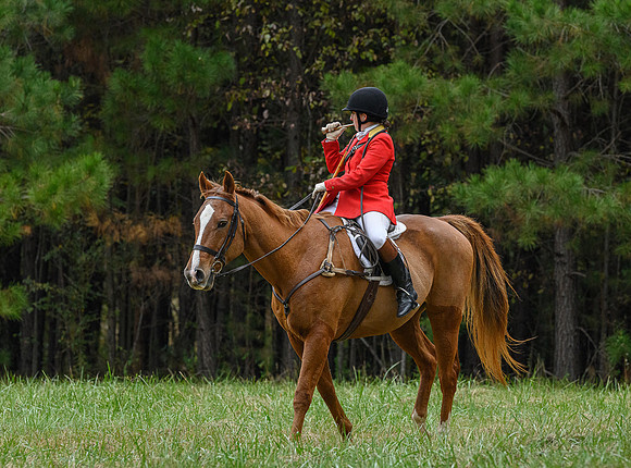 Belle Meade_11-6-2021_357395