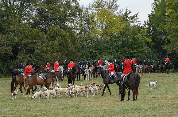 Belle Meade_11-6-2021_357398