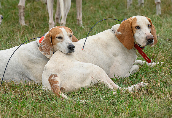 Belle Meade_11-6-2021_357459