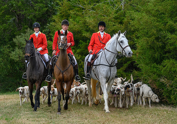 Belle Meade_11-6-2021_357468