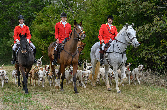 Belle Meade_11-6-2021_357472