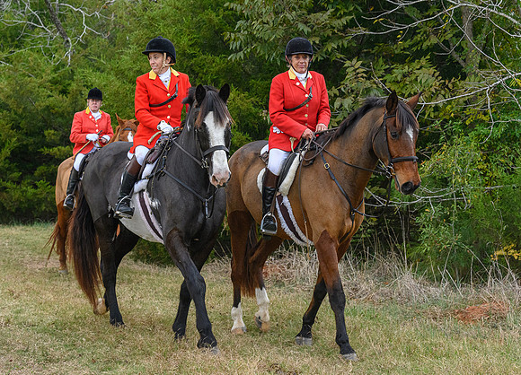 Belle Meade_11-6-2021_357475