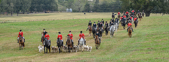 Belle Meade_11-6-2021_357576