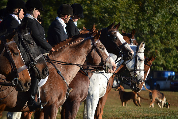 Shakerag Opening Hunt 2014