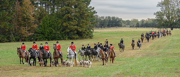 Belle Meade_11-6-2021_357581