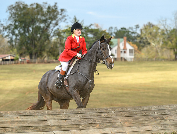Belle Meade_20241102_422080