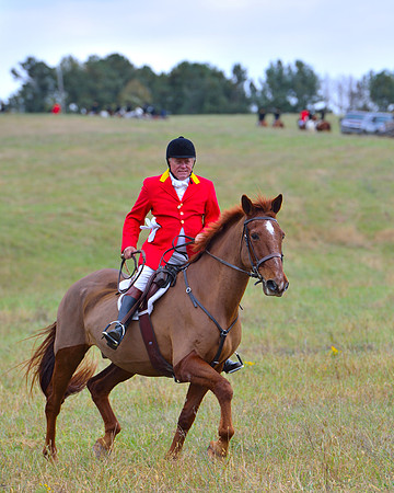 Belle Meade Opening Hunt 2014
