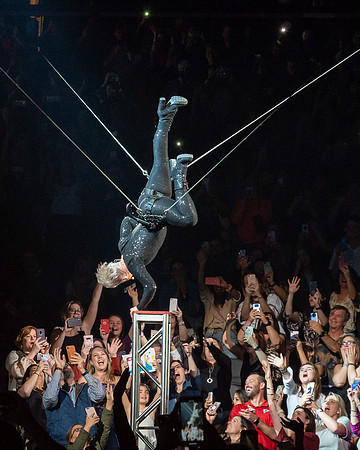 Pink Concert_3-12-2019_295890