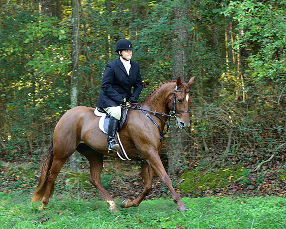 Shakerag Opening Hunt 2014