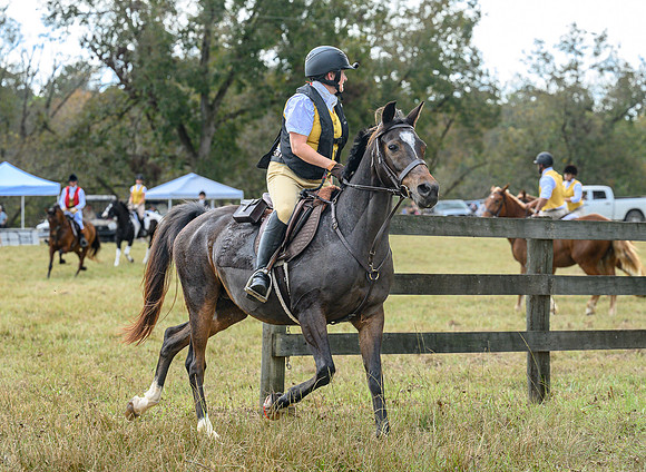 Belle Meade_20241102_421949