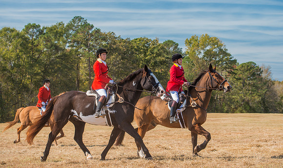 Belle Meade_228122_11-5-2016