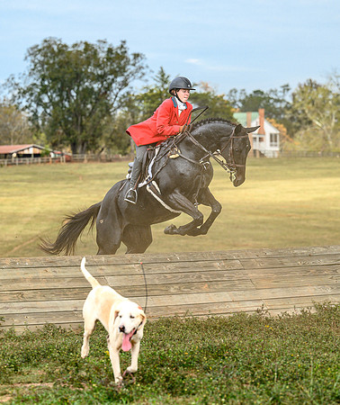 Belle Meade_20241102_422075