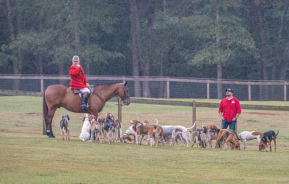 Shakerag_10-26-2019_315554