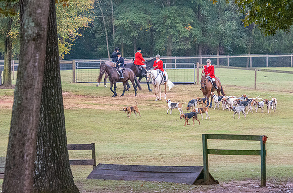 Shakerag_10-26-2019_315568