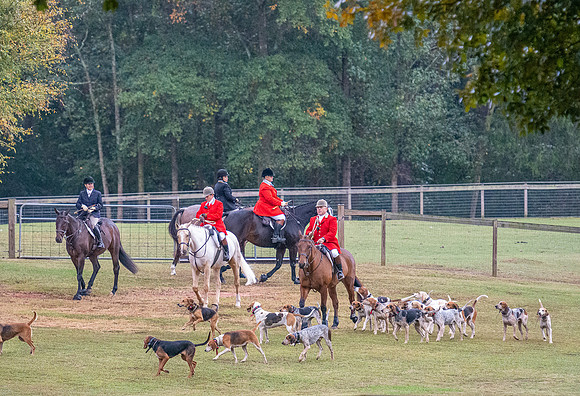 Shakerag_10-26-2019_315569