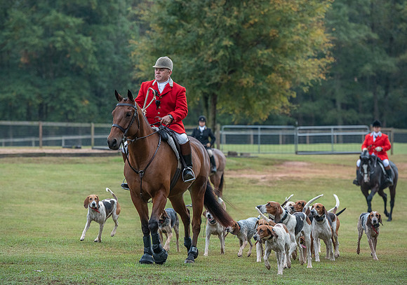 Shakerag_10-26-2019_315267