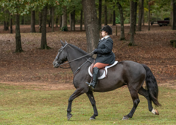 Shakerag_10-26-2019_315319