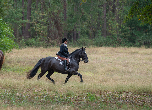 Shakerag_10-26-2019_314720