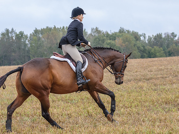 Shakerag_10-26-2019_315750