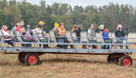Shakerag_10-26-2019_315767