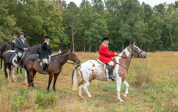 Shakerag_10-26-2019_315320