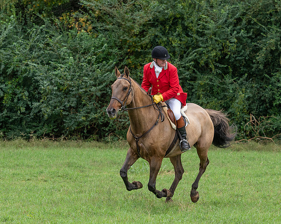 Shakerag_10-26-2019_314994