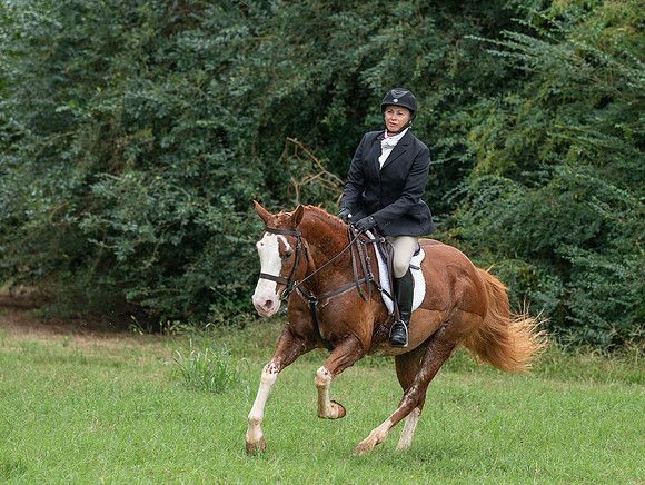 Shakerag_10-26-2019_315015