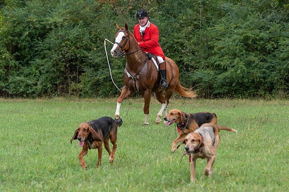 Shakerag_10-26-2019_315075