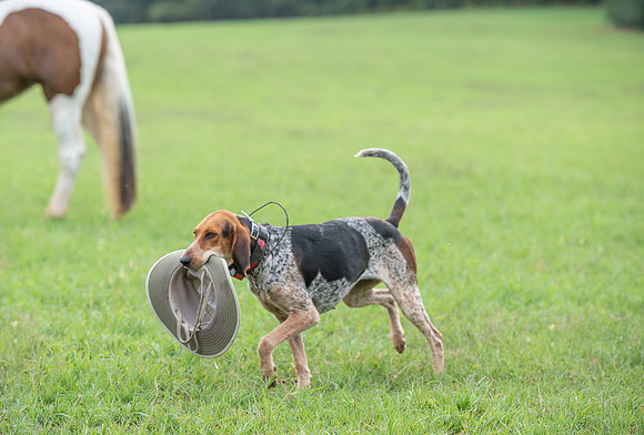 Shakerag_10-26-2019_315118