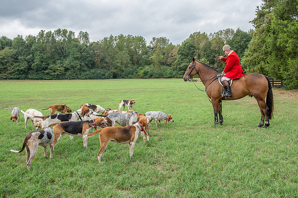 Shakerag_10-26-2019_316131
