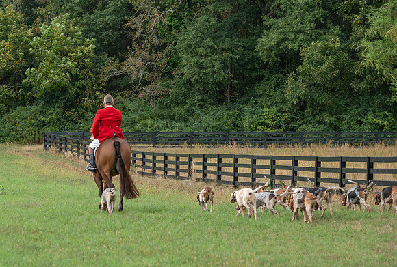 Shakerag_10-26-2019_315160