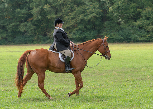 Shakerag_10-26-2019_315185