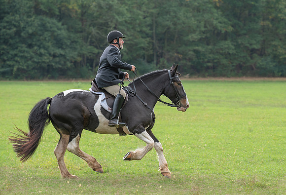 Shakerag_10-26-2019_315205