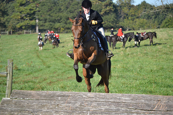 Shakerag Opening Hunt 2014