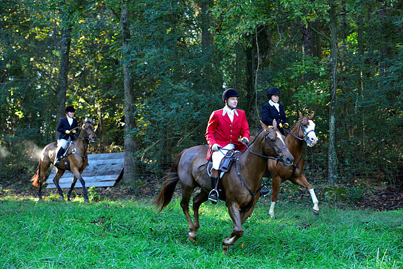 Shakerag Opening Hunt 2014