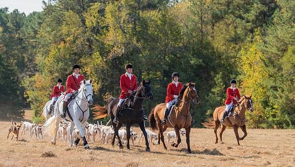 Belle Meade_228104_11-5-2016