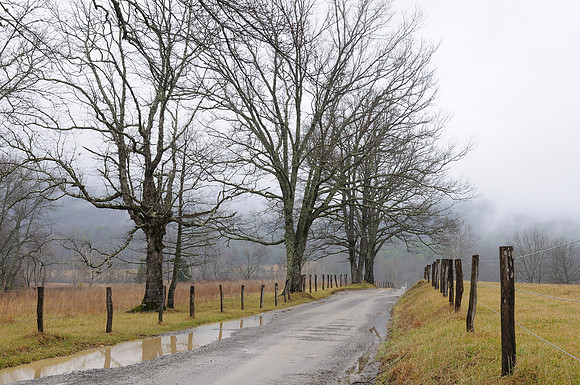 Sparks Lane in Winter