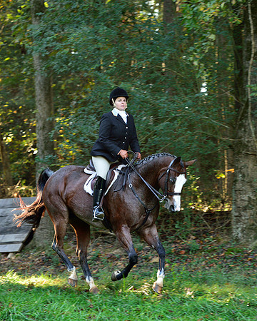 Shakerag Opening Hunt 2014