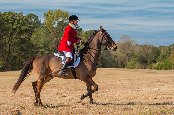 Belle Meade_228118_11-5-2016