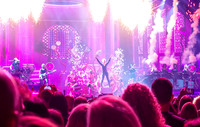 Pink Concert_3-12-2019_295724
