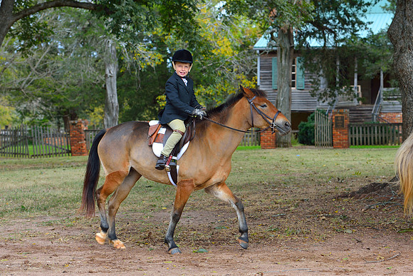 Belle Meade Opening Hunt 2014