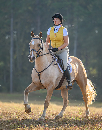 Shakerag_10-24-2020_328309
