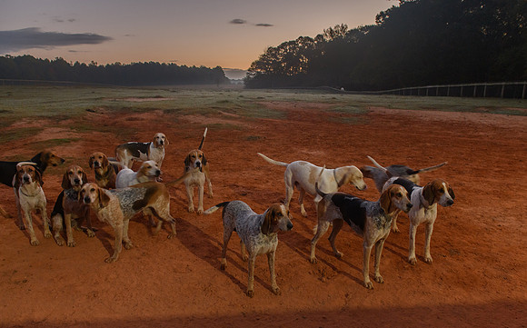 Shakerag_10-24-2020_328496