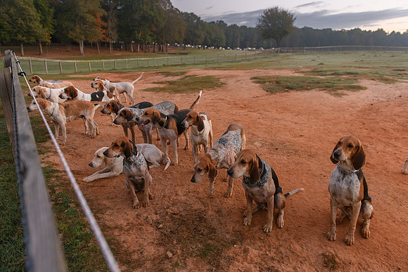 Shakerag_10-24-2020_328507